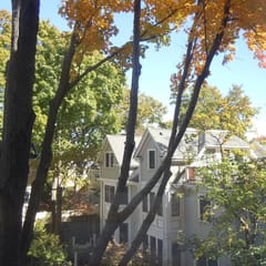 Harvard Square Home in Heart of Cambridge!